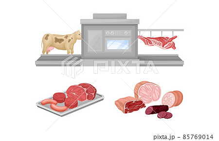 Meat production process. Slaughter procedure. Meat products processing vector illustration Meat production process. Slaughter procedure. Meat products processing vector illustration 85769014