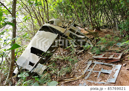 小笠原諸島／父島の戦跡・急降下爆撃機ヘルダイバーの残骸 85769021