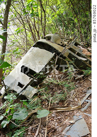 小笠原諸島／父島の戦跡・急降下爆撃機ヘルダイバーの残骸 85769022
