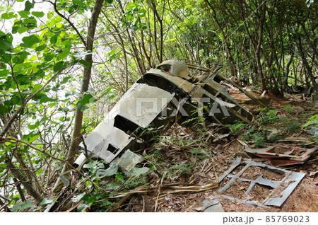 小笠原諸島/父島の戦跡・急降下爆撃機ヘルダイバーの残骸 小笠原諸島/父島の戦跡・急降下爆撃機ヘルダイバーの残骸 85769023