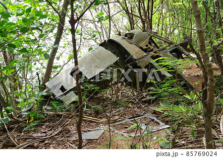小笠原諸島/父島の戦跡・急降下爆撃機ヘルダイバーの残骸 小笠原諸島/父島の戦跡・急降下爆撃機ヘルダイバーの残骸 85769024