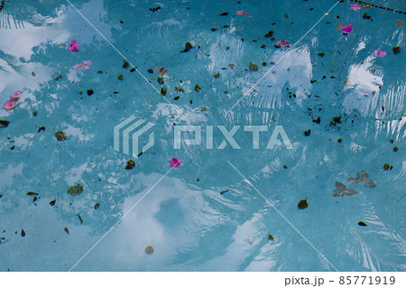 Dirty water in swimming pool. Pool with dry leaves and flowers on the surface of the blue water. 85771919