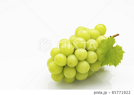 白バックのシャインマスカット 85771922