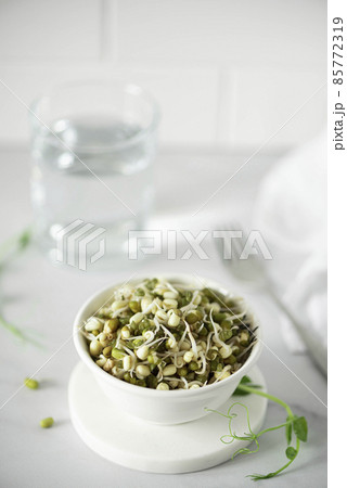 sprouted green bean seeds and a glass of fresh water sprouted green bean seeds and a glass of fresh water 85772319