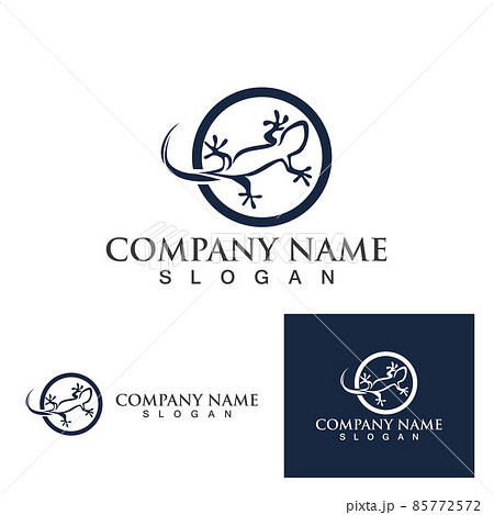 Lizard animals logo and symbols vector temlate Lizard animals logo and symbols vector temlate 85772572