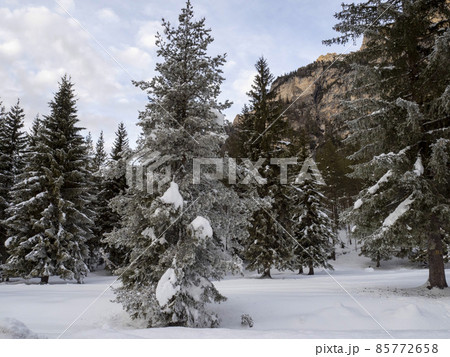 Fanes mountain dolomites in winter panorama 85772658