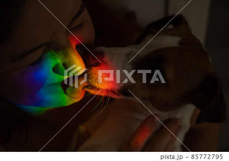 Close-up portrait of a woman hugging a jack russell terrier dog with a ray of rainbow light on her face. Close-up portrait of a woman hugging a jack russell terrier dog with a ray of rainbow light on her face. 85772795