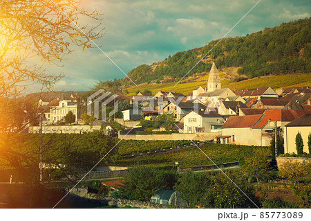 Houses and nature of ancient city Saint-Aubin, Burgundy with vin 85773089
