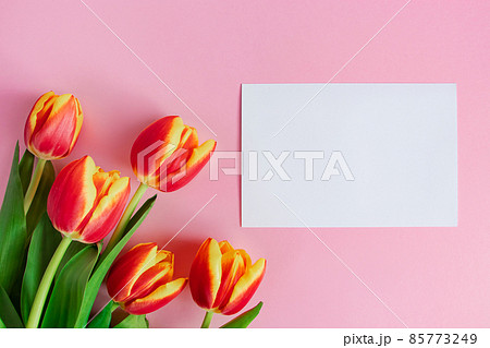 Fresh tulips bouquet and greeting card on pink background. Happy easter. Spring holidays concept. 85773249
