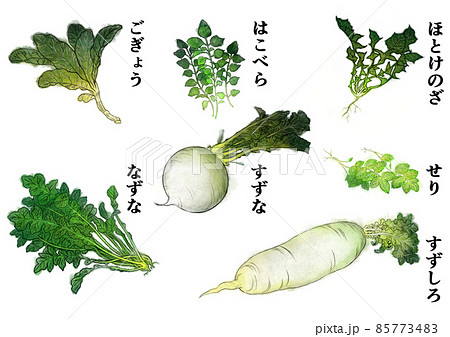 春の七草 野菜 水彩風 食材イラストのイラスト素材 [85773483] - PIXTA