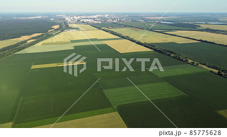 Aerial drone view flight over different agricultural fields Aerial drone view flight over different agricultural fields 85775628