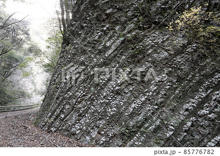 四万十累層群の砂岩泥岩互層 四万十累層群の砂岩泥岩互層 85776782