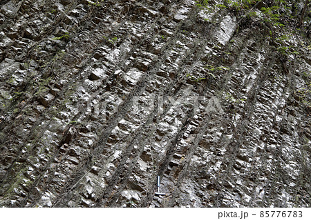 四万十累層群の砂岩泥岩互層 四万十累層群の砂岩泥岩互層 85776783