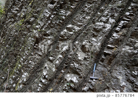 四万十累層群の砂岩泥岩互層 四万十累層群の砂岩泥岩互層 85776784