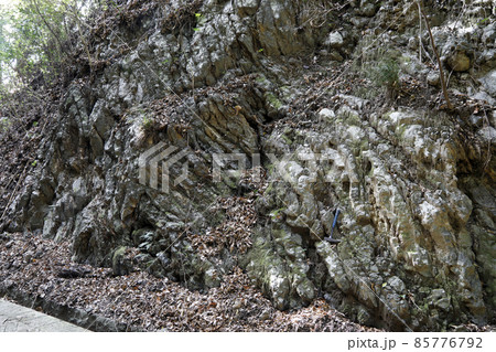 四万十累層群の砂岩泥岩互層 四万十累層群の砂岩泥岩互層 85776792