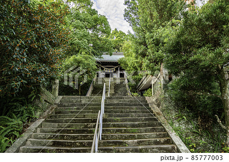長崎 大浦諏訪神社 参道 長崎県長崎市 長崎 大浦諏訪神社 参道 長崎県長崎市 85777003