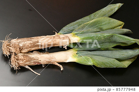 下仁田葱 85777948