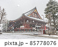 雪化粧の浅草寺 85778076
