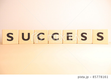 サクセス(SUCCESS・成功)のイメージ(文字・アルファベットテキスト) サクセス(SUCCESS・成功)のイメージ(文字・アルファベットテキスト) 85778161