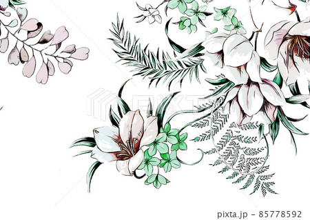 abstract rose flower peony flower illustration 85778592