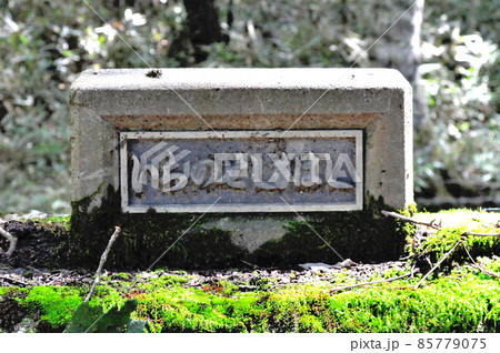 多摩川源流の一ノ瀬渓谷の橋 多摩川源流の一ノ瀬渓谷の橋 85779075