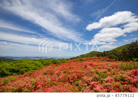 《宮城県・気仙沼》徳仙丈山　第1展望台からの眺望 85779112