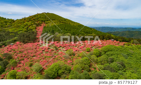 《宮城県・気仙沼》徳仙丈山 85779127