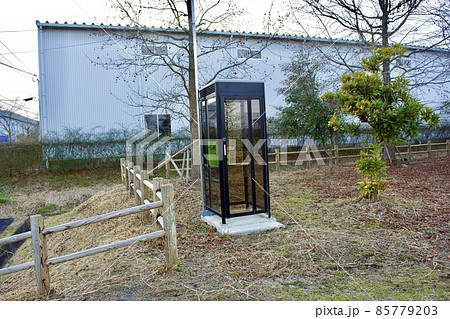 令和の公衆電話ボックス 85779203