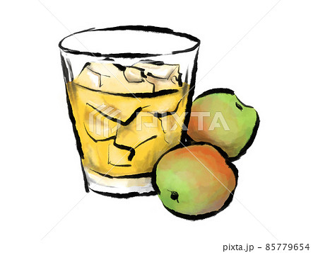 筆で描かれた梅酒のイラスト 85779654