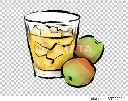 筆で描かれた梅酒のイラスト 85779654