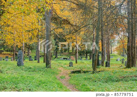 Old finnish cemetery at autumn day. 85779751