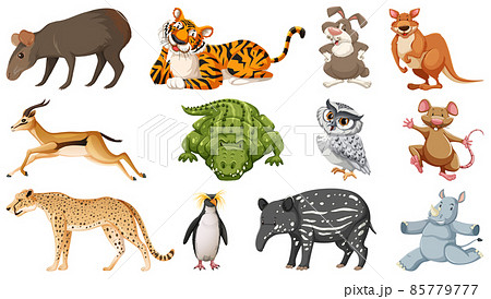 Set of different wild animals cartoon characters Set of different wild animals cartoon characters 85779777