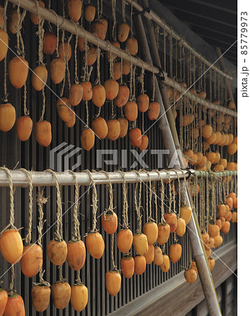 岐阜県 干し柿 岐阜県 干し柿 85779973