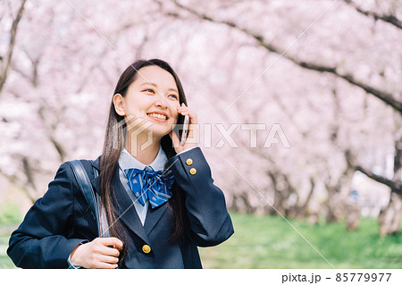 桜の木の下で電話をする高校生 桜の木の下で電話をする高校生 85779977
