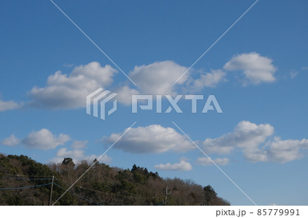 冬の森に浮かぶわた雲 85779991