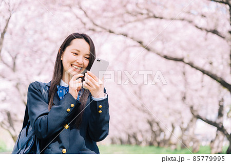 桜の木の下でスマホを見る高校生 桜の木の下でスマホを見る高校生 85779995