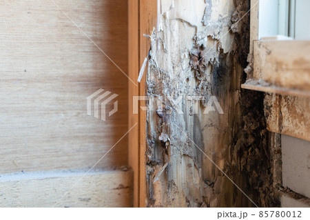 白アリ被害にあった住宅の柱の様子 85780012