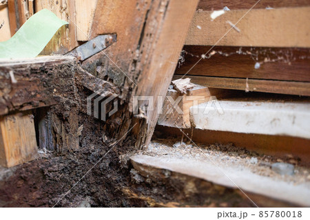 白アリ被害にあった住宅の柱の様子 85780018