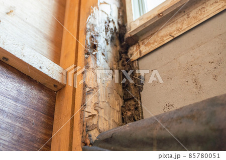 白アリ被害にあった住宅の柱の様子 85780051