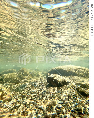 水中から川の様子を 水中から川の様子を 85780108