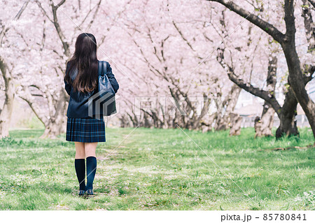 桜並木の下を歩く高校生（女子高生）の後ろ姿 85780841
