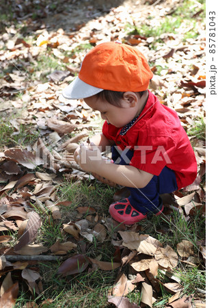 Asian boy is sitting in the garden. Asian boy is sitting in the garden. 85781043