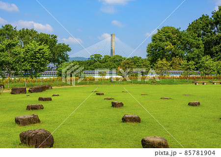 池田城跡公園 池田市 大阪府 85781904