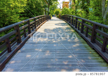 池田城跡公園 池田市 大阪府 85781907