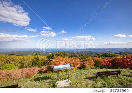 《宮城県・南三陸町》田束山のつつじ 85781960