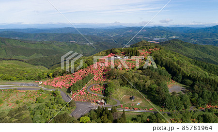 《宮城県・南三陸町》田束山のつつじ 85781964