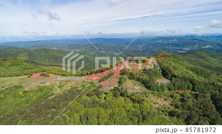 《宮城県・南三陸町》田束山のつつじ 85781972