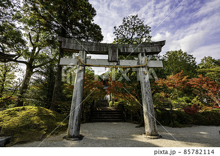 武雄　黒髪神社　鳥居　佐賀県武雄市 85782114