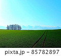 北海道 丘のまち美瑛  広大な小麦畑と十勝岳連峰 85782897