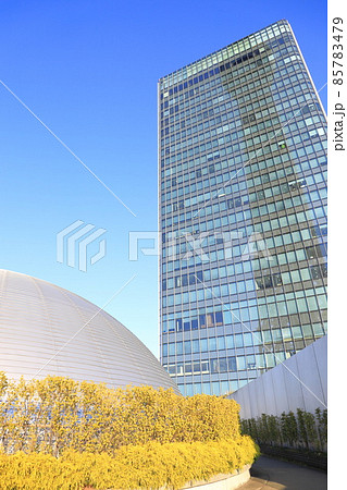 東京スカイツリー　8階　ドームガーデンとイーストタワー 85783479